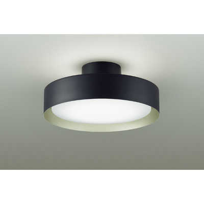 【新品】シーリングライト 大光電機 LEDシーリング ［8畳 /昼光色～電球色 /リモコン付属］ DXL