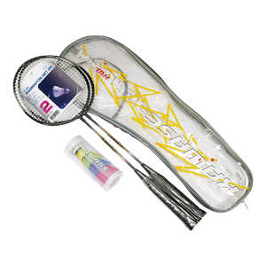 KAISER バドミントンセットDX KW586