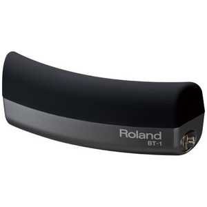  Roland Сȥꥬѥå BT-1