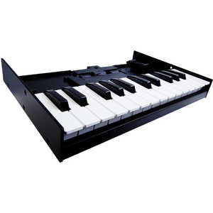 ローランド Roland Roland Boutiqueシリーズ専用のミニ・キーボード K-25M ローランド Roland Roland Boutiqueシリーズ専用のミニ・キーボード K-25M