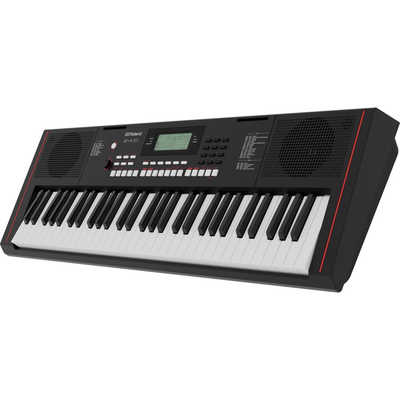 ローランド Roland 電子キーボード ［61鍵盤］ E-X10 の通販