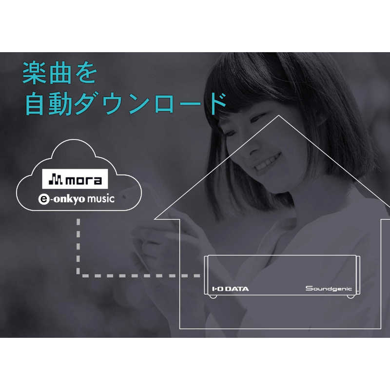 メーカー包装済】 アイオーデータハードディスク搭載ネットワーク