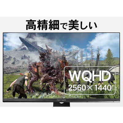 IO DATA LCD-GCQ241XDB モニター 23.8型 解像度WQHD