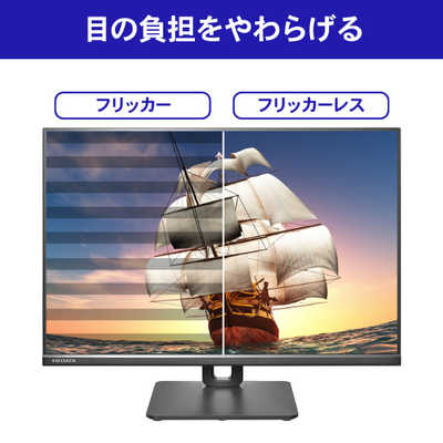 I・O DATA LCD-DX251EPB BLACK IOデータ PCモニター ブラック [25型 /WUXGA(1920×1200