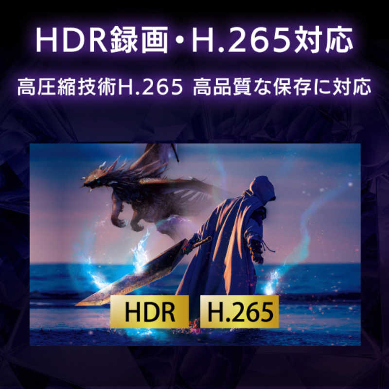 IOデータ IOデータ 4K対応HDMIキャプチャー [PS5に最適 4K30p／2K120p 録画対応] GV-USB3/HDS GV-USB3/HDS