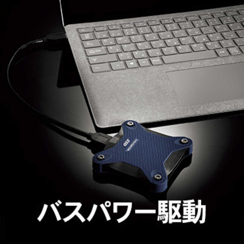 IOデータ IOデータ 外付けSSD USB-A接続 (PS5 PS4対応) ミレニアム群青  ポータブル型  250GB  SSPH-UA250N SSPH-UA250N