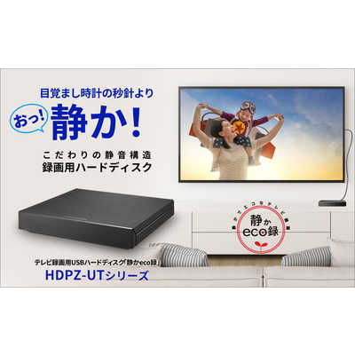 早い者勝ち＞アイオーデータ テレビ録画レコーダー ＋ 外付けハード 
