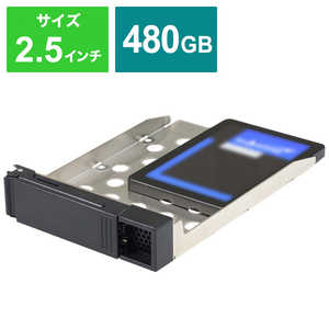 IOデータ 内蔵SSD 交換用 HDL-OPSシリｰズ ランディスク専用 [2.5インチ /480GB] HDL-OPS480