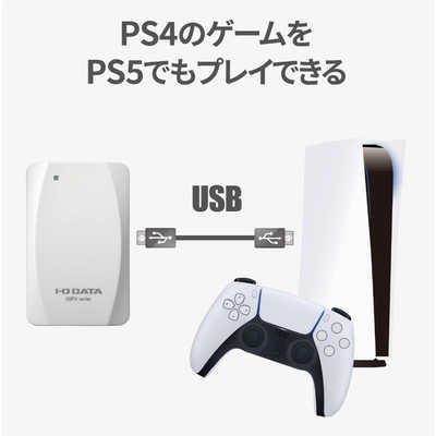 IOデータ 【アウトレット】PS5対応 ポータブルSSD 250GB 【PS4､PS5動作 