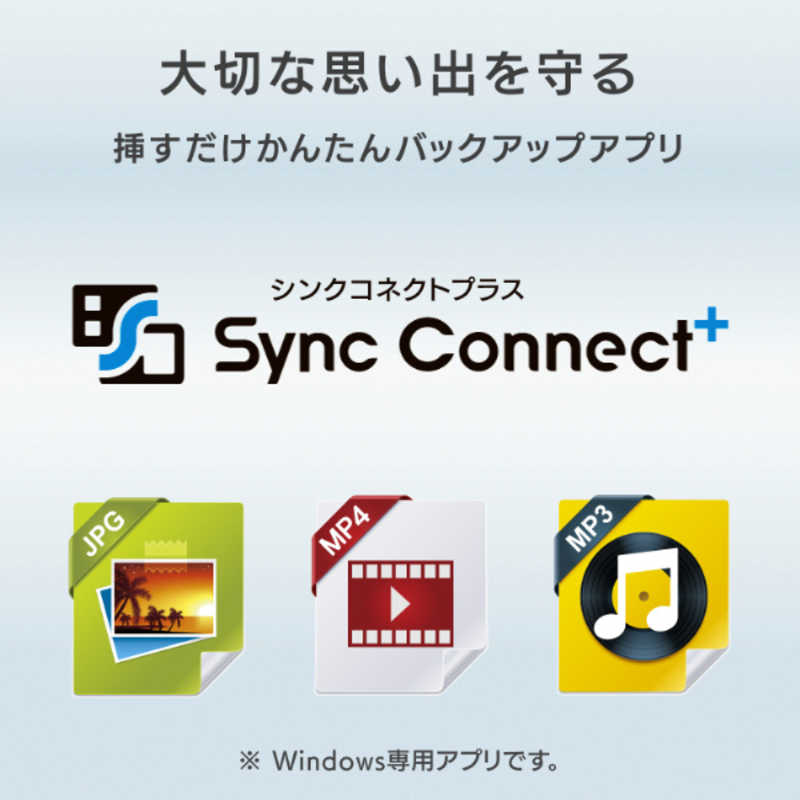 IOデータ IOデータ 外付けSSD USB-A接続 (Chrome/Mac/Windows11/PS4対応) ブラック [500GB /ポｰタブル型] SSPC-US500K SSPC-US500K