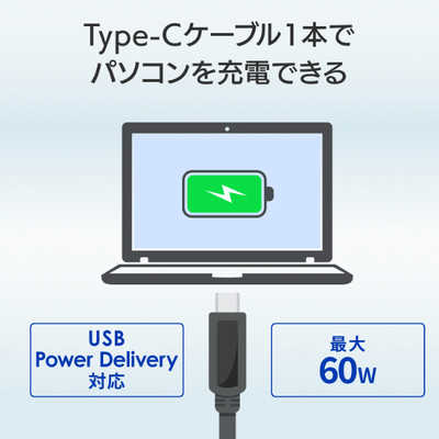 IOデータ USB PD対応 60W ドッキングステーション US3CDS1/PDA USBC 