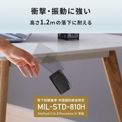 IOデータ 【アウトレット】外付けSSD USB-C＋USB-A接続 Mac対応