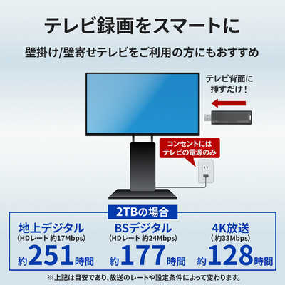 I-O DATA 1TB スティックSSD USB 3.2 IOデータ USB 10Gbps(USB 3.2 Gen 2)対応 スティックSSD ［1TB