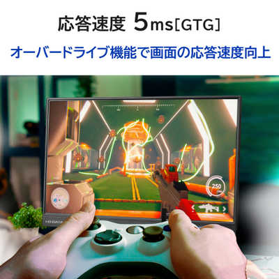 IOデータ モバイルディスプレイ ［17.3型 /フルHD(1920×1080) /ワイド