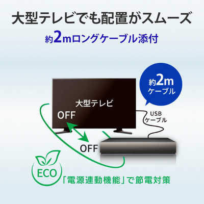 IOデータ 24時間連続録画対応ハイエンドモデル録画用外付けHDD ［3TB  