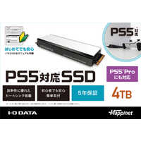 IOデータ PS5対応 M.2 拡張SSD ヒートシンク付 4TB HNSSD-4P5A の通販