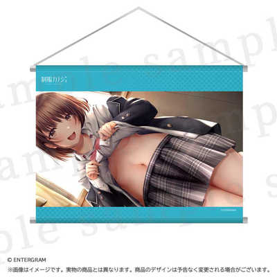 エンターグラム 制服カノジョ グッズセット 玉依ひまり KNET-G0120 の