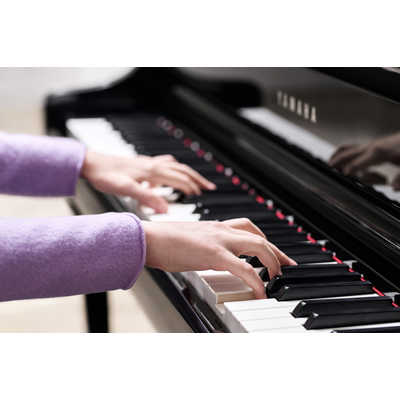 ヤマハ YAMAHA 電子ピアノ Clavinova（クラビノーバ） CLP-800
