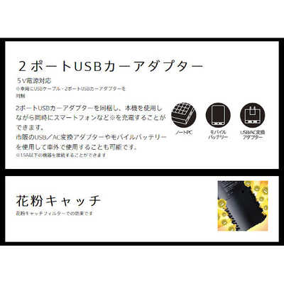DENSO 車載用プラズマクラスターイオン発生機NEXT（261300-001
