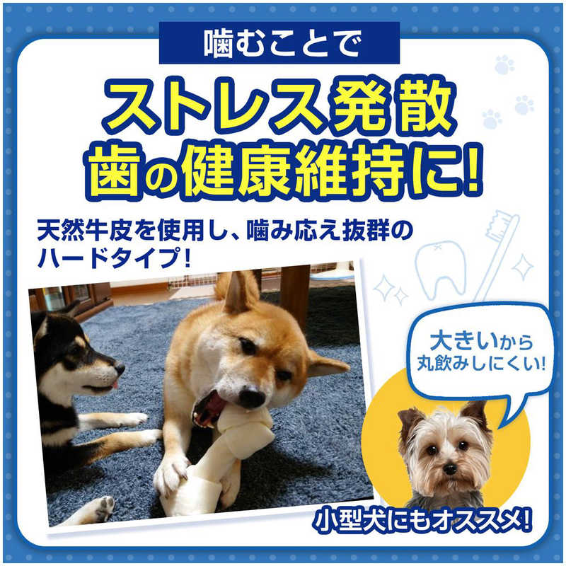 ペットプロジャパン ペットプロジャパン ペットプロ 犬用 BIGガム 骨型 (2本入り)  