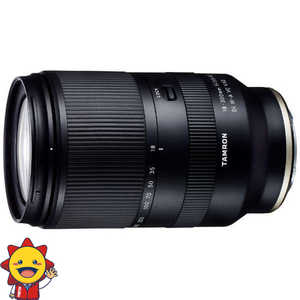 タムロン カメラレンズ 18-300mm F/3.5-6.3 Di III-A VC VXD (Model B061) (ソニーE用/APS-C用) 
