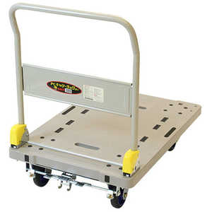 ṩ  ץ饭꡼åDXեåȥ֥졼ա181862 #709168