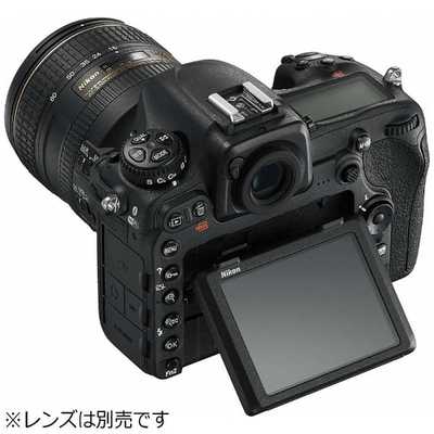 ニコン Nikon 一眼レフデジタルカメラ ボディ単体 D500 の通販