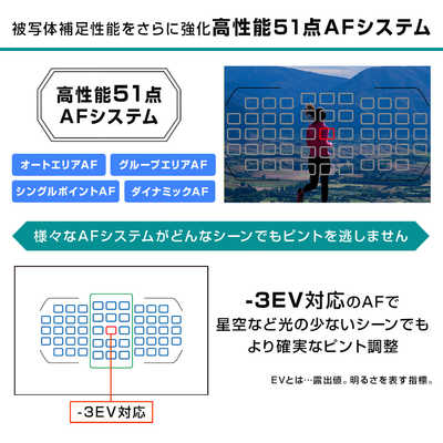 ニコン Nikon 一眼レフカメラ D7500 ボディ の通販 | カテゴリ ニコン Nikon 一眼レフカメラ D7500 ボディ の通販 | カテゴリ