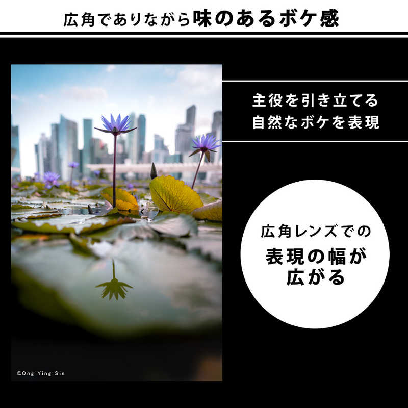 ニコン　Nikon ニコン　Nikon カメラレンズ NIKKOR Z 24mm f/1.8 S NIKKOR Z 24mm f/1.8 S