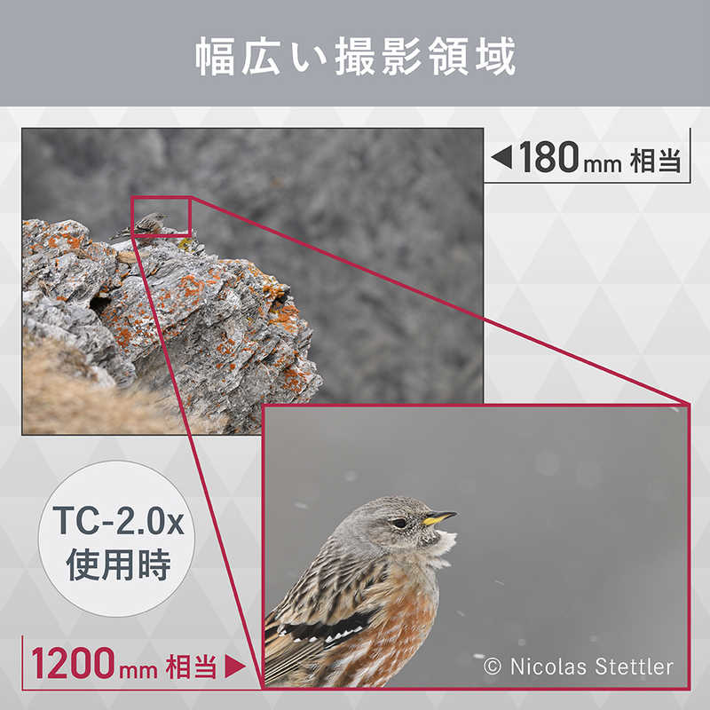 ニコン　Nikon ニコン　Nikon カメラレンズ NIKKOR Z 180-600mm f/5.6-6.3 VR NIKKOR Z 180-600mm f/5.6-6.3 VR