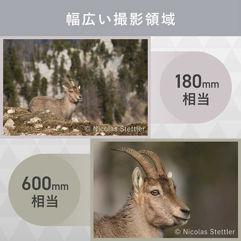 ニコン　Nikon ニコン　Nikon カメラレンズ NIKKOR Z 180-600mm f/5.6-6.3 VR NIKKOR Z 180-600mm f/5.6-6.3 VR