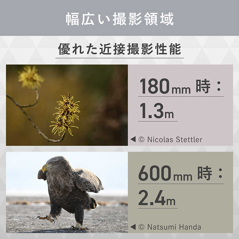 ニコン　Nikon ニコン　Nikon カメラレンズ NIKKOR Z 180-600mm f/5.6-6.3 VR NIKKOR Z 180-600mm f/5.6-6.3 VR