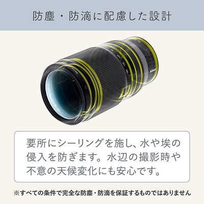 ☆レア！UPIプロ用モデル Nikon F巻上げレバー tanaridocamera1_4924ni