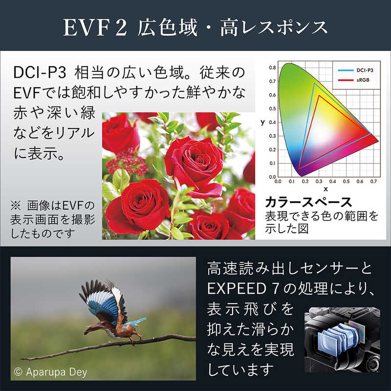 ニコン　Nikon ニコン　Nikon ミラーレス一眼カメラ Z6III ボディ Z6III ボディ