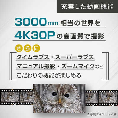 ニコン Nikon COOLPIX P1100 の通販 | カテゴリ:カメラ・ビデオ ニコン Nikon COOLPIX P1100 の通販 | カテゴリ:カメラ・ビデオ