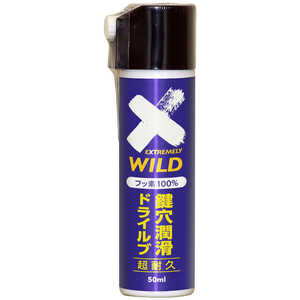 エーゼット 鍵穴潤滑 ドライルブスプレー 50ml フッ素100% DKL-001 939ﾄﾞﾗｲﾙﾌﾞ50ML