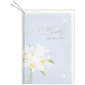 jzz[}[N ݃J[h ݐ\グ܂ EAP-811-969