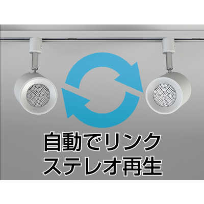 瀧住 ブルートゥーススピーカー ［1本］ TDR20063SS の通販 - カテゴリ 