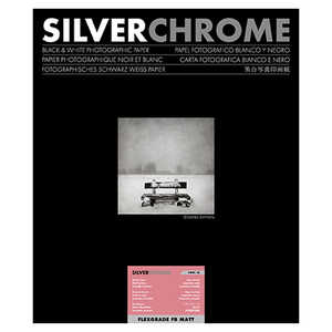 Oʐ^i SILVERCHROME FLEXGRADE FB Matt Vo[N[ tbNXO[h 10x12C` 25ml /25 /n 433535
