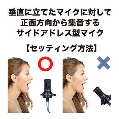 オーディオテクニカ ボーカルマイク（コンデンサー型） AT2020