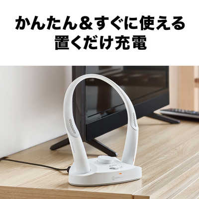 オーディオテクニカ ワイヤレスネックスピーカー [防滴] AT