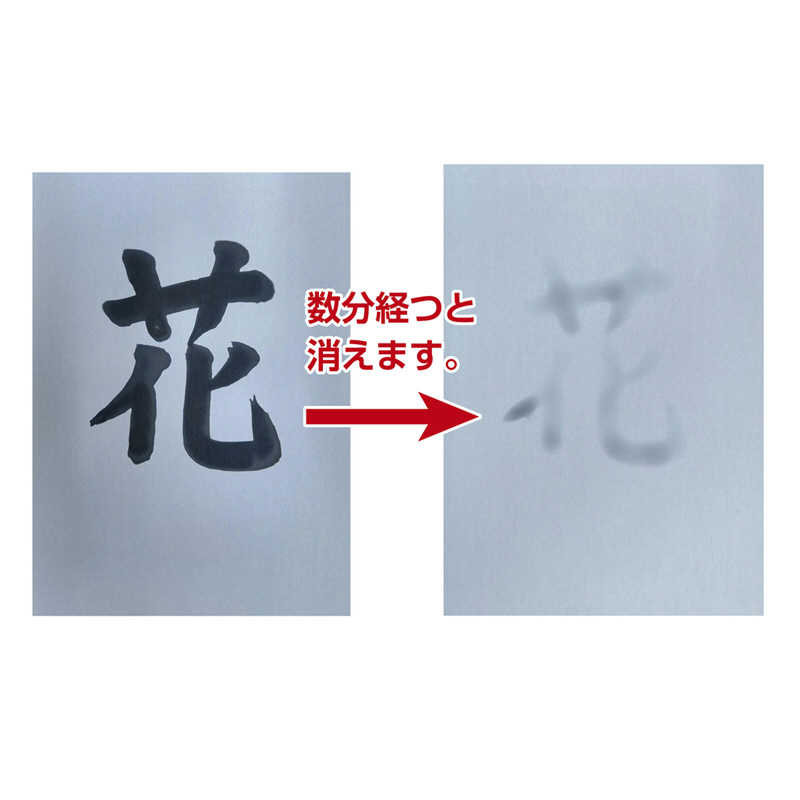長門屋商店 長門屋商店 水筆紙 半紙判 黒発色(20枚入) ナ-SH21 ﾅSH21 ﾅSH21