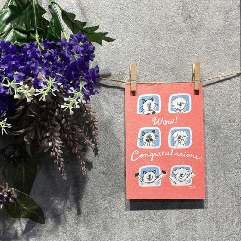 長門屋商店 長門屋商店 W＆N ポストカード(congratulations) WN0001 WN0001