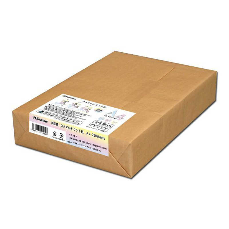 長門屋商店 長門屋商店 美彩紙 OAマルチケント紙 A4 250枚 ﾅ962V ﾅ962V