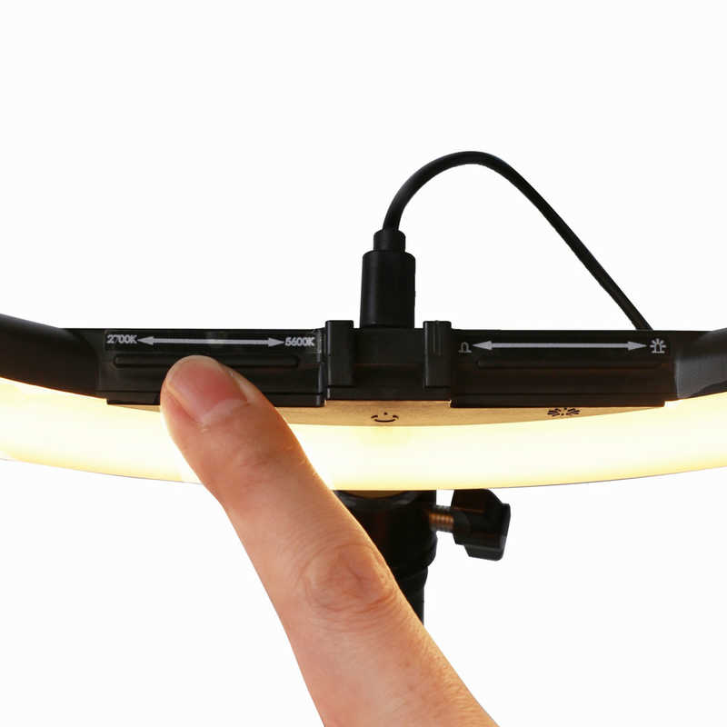 ケンコー ケンコー 折り畳めるLEDリングライト KL-02RL KL-02RL