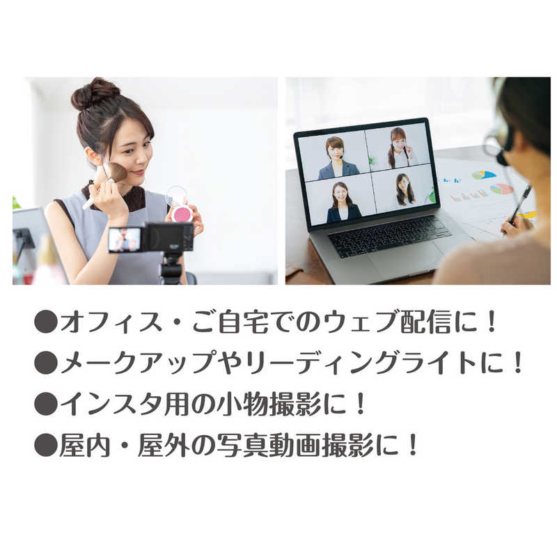 ケンコー ケンコー まぶしくない12インチLEDパネルライト  KL-05PL KL-05PL