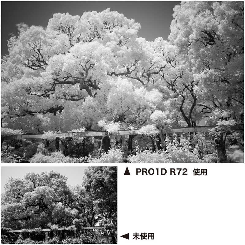 ケンコー ケンコー Kenko PRO1D R72 N 67mm 67SPRO1DR72 67SPRO1DR72