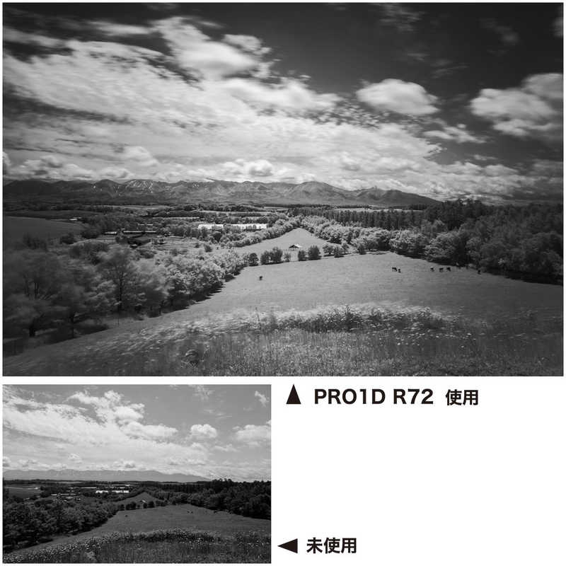 ケンコー ケンコー Kenko PRO1D R72 N 67mm 67SPRO1DR72 67SPRO1DR72