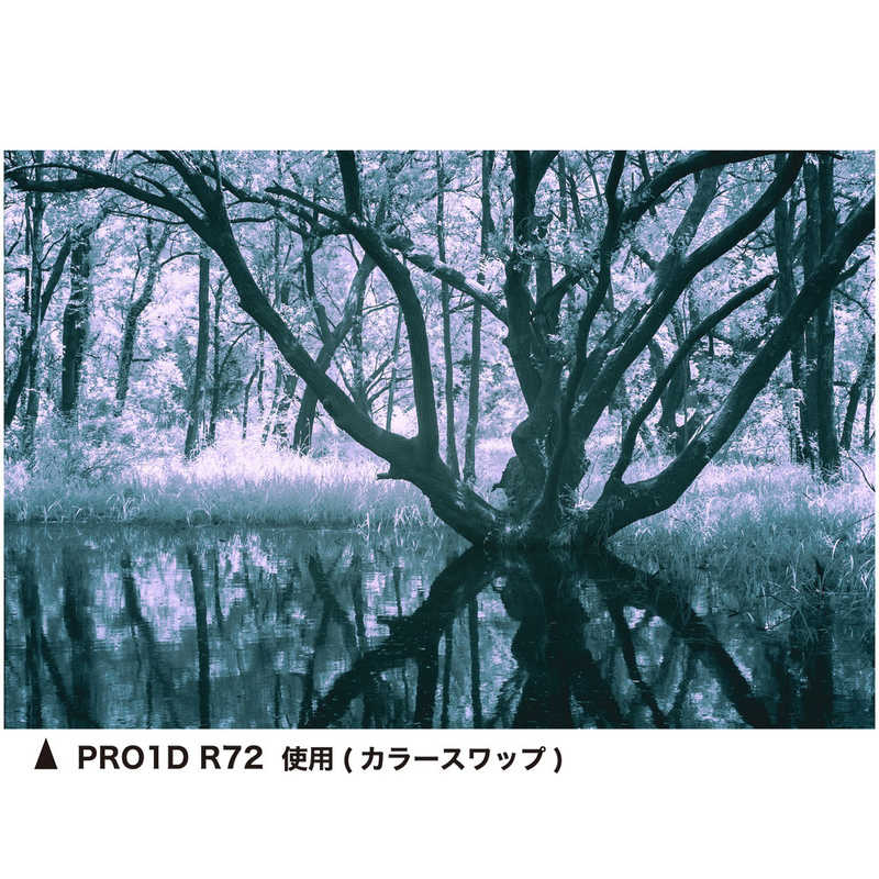 ケンコー ケンコー Kenko PRO1D R72 N 67mm 67SPRO1DR72 67SPRO1DR72