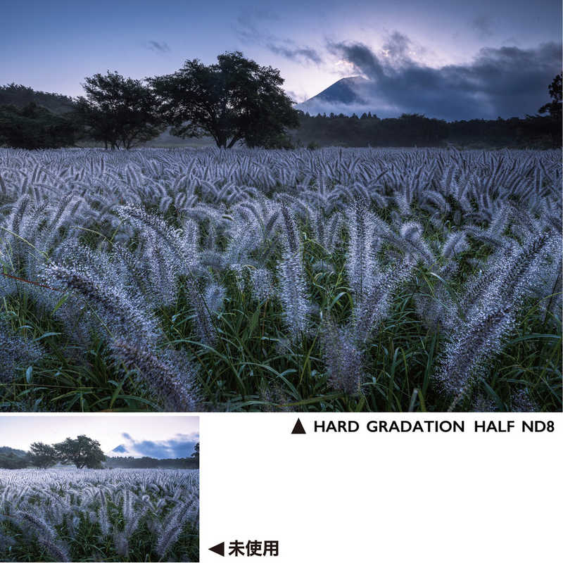 ケンコー ケンコー ハードグラデーション ハーフND8 67mm  [67mm] 67SHGND8 67SHGND8